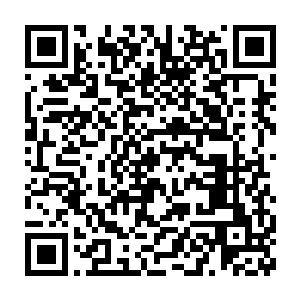 所以王世子这位美女秘书的办公桌上几乎每天都会堆满新鲜的玫瑰二维码生成