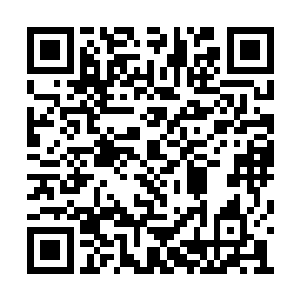 所以王家的老太爷也是不得已才这么强迫王楠的二维码生成