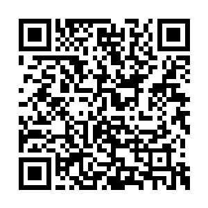 所以王莉也不好在这一点上面过于的去坚持什么二维码生成