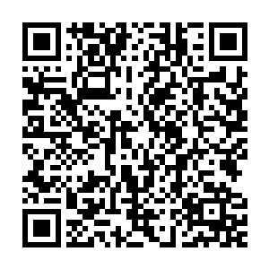 所以玩家唯一提高自己事务所影响力的途径就是尽量多的完成任务二维码生成