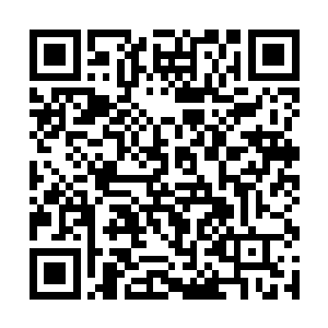 所以现在全场的这些妖兽已经全都知道人类的到来了二维码生成