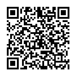 所以现在她要想着怎么给自己的手下争取时间了二维码生成