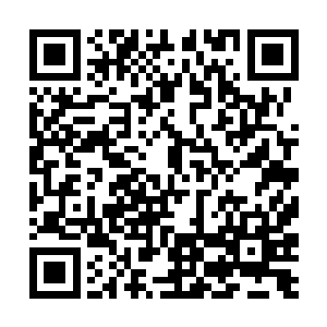 所以现在尸体就这么赤果果的出现在这两只魔兽面前二维码生成