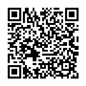 所以现在恶魔之门里面除了几个听话的家伙之外二维码生成