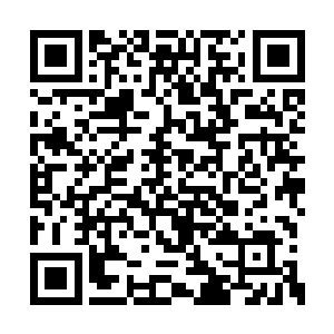 所以现在我们每个人都在交叉感染着彼此的毒素二维码生成