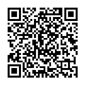 所以现在是五六家子拥有一个鸡圈以及鸡圈里的野鸡和蛋二维码生成