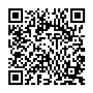 所以现在的情况是渔村里的人根本还没有来得及做出反击二维码生成