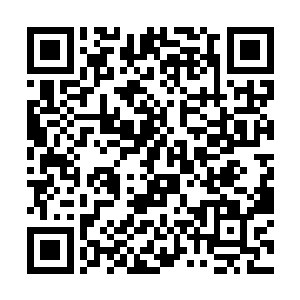 所以现在的森罗万象只能容纳九千多万立方米的虫黄二维码生成