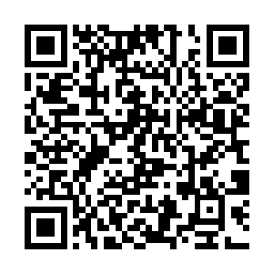 所以现在看来双方的接触对于他们的生物威胁并不大二维码生成
