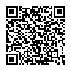 所以现在诺亚的选择在正常情况下绝对是正确的二维码生成