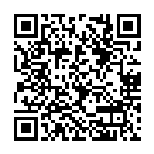 所以留守在双雄仙城的百族修士并不知道这件事情二维码生成