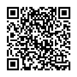 所以白任雄基本上也是将苏凡当做自己的孙子来对待的二维码生成