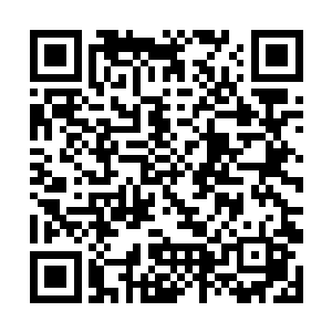 所以白掌峰才会将这帮我们去干掉这只碧蓝海神的事二维码生成