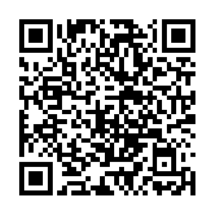 所以白鹿无论用什么方式干掉石田阳平他都没意见二维码生成