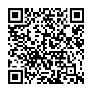 所以盟军就展开了对忍者的捕杀其他国家的精锐二维码生成