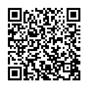 所以直接将最靠近归墟星的一颗星辰赐给了老转轮王二维码生成