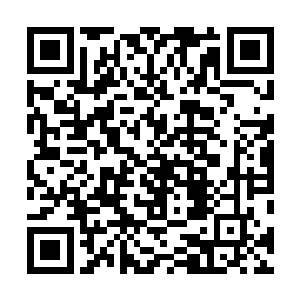 所以离光圣者的元神攻击范围将王燕姐弟也给包括了进去二维码生成