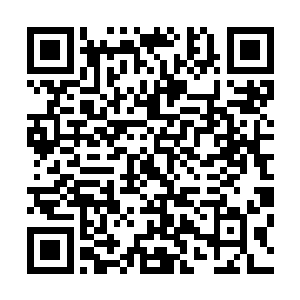 所以秦洛就没把自己这次受伤的事情告诉林浣溪厉倾城等人二维码生成
