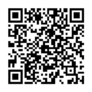 所以程家的司机便下意识地选择了风景最好的路线二维码生成