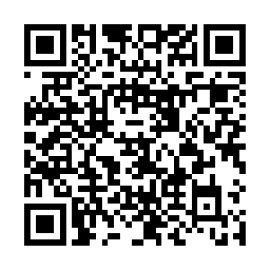 所以练习血巫妖的人到最后基本上都不是被对手杀死的二维码生成