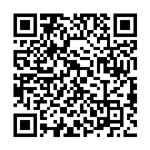 所以给客户私人订制的事情就落在了佟诗丽和易凡希身上二维码生成