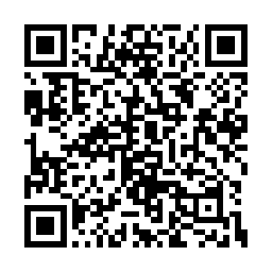 所以罗伯特想要拼尽自己的能量好好的准备一下二维码生成