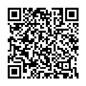 所以翼王带来的所谓公主也只是旁枝的一个郡主二维码生成