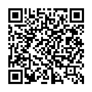 所以老哥我想请龙老弟进去之后若是能够发现对渡劫有用的东西二维码生成