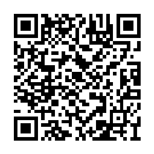 所以老夫三人商议之后这才邀请秦道友过来一聚二维码生成