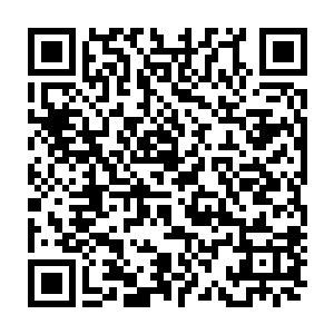 所以老祭祀和睿看小狼崽的心情大抵跟看到部落的新生儿的心情差不多吧二维码生成