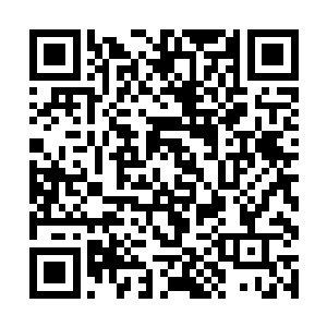所以自然认为瘦瘦弱弱的苏凡不会是金牛圣骑的对手二维码生成