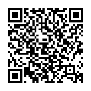 所以舅舅想要将平日里做盐买卖的银钱拿出来置地是正确的选择二维码生成