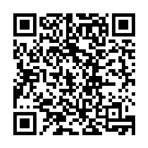 所以花月谣也不想沈喜臻的归来成为了皇上责杀的靶子二维码生成