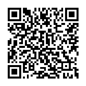 所以苍梧觉得自己和燕山魂有过并肩作战的经历二维码生成