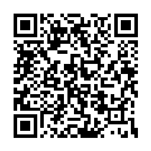 所以苏德之间没有让希特勒寝食不安的矛盾激发二维码生成