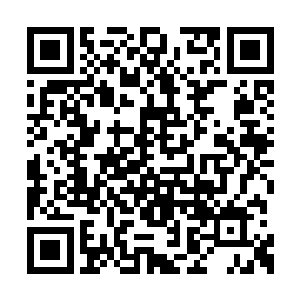 所以苏瑷挑了一套限量版的芭比娃娃和芭比先生二维码生成