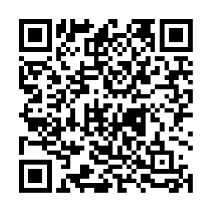 所以苏紫萱当然要认真咨询一下桃姐这样的老牌经纪人二维码生成