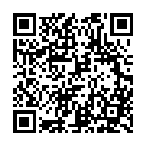 所以苏落将补充灵气和体力的皇级灵体丹拿出来二维码生成