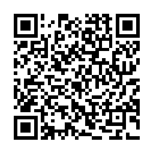所以苏落过的是蝎主般让所有人都围着她转的幸福童年二维码生成