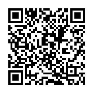 所以若不仔细看的话根本分辨不出那里还藏着一个人二维码生成
