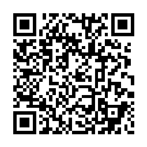 所以荀子世家始终难以争过文王世家和孟子世家二维码生成