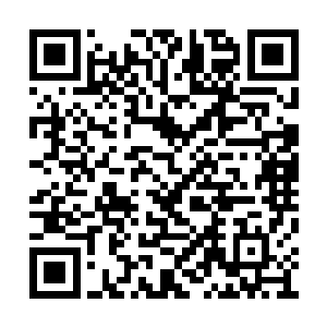 所以莫小鱼只是让他们给自己提供一些消息而已二维码生成