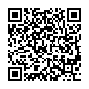 所以莱昂内尔把自己的私生子兰尼特接到了罗斯克里夫家族二维码生成