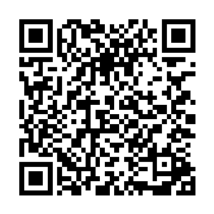 所以蕾切尔一时之间还真的就不知道应该做什么样子的判断二维码生成