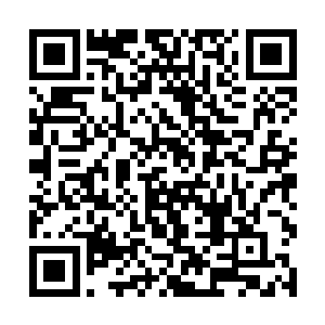 所以虫草王对于市场的投放数量是进行了严格控制的二维码生成