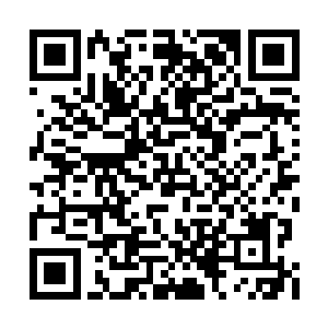 所以虽然两个人在世界观人生观上已经有了分歧二维码生成