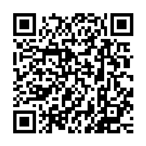所以虽然也有常年驻扎在机场接机大厅捕捉明星踪迹的狗仔记者二维码生成