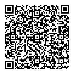 所以被追停下来的张铁瞬间就做了一个在真实情况下被这么多狼追着的时候也会做的同样的选择――张铁一下子跳到河中二维码生成