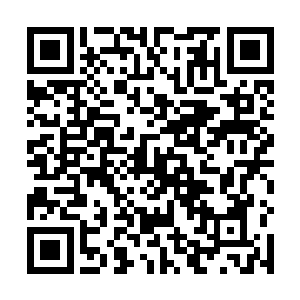 所以要我们等林辰哥哥与燕儿姐姐醒来后直接告诉你们二维码生成