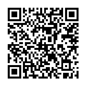 所以要求刑侦队与负责侦破的官湖所召开视频会议二维码生成